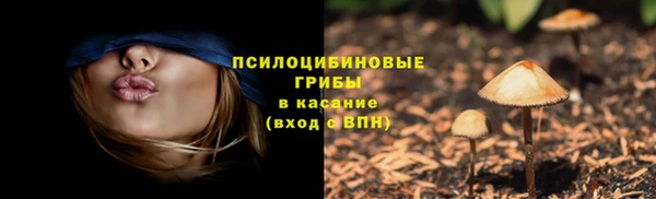 ALPHA PVP Покровск
