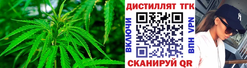 Дистиллят ТГК Wax  hydra ССЫЛКА  Сельцо 