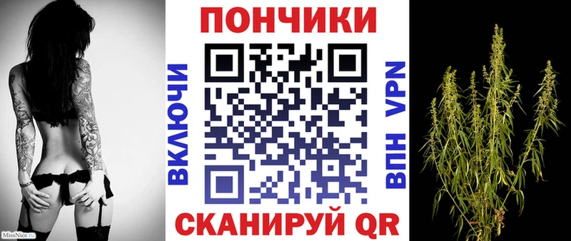 MEGA сайт  Сельцо  Каннабис OG Kush 